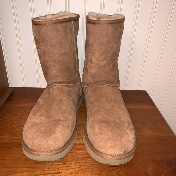 UGG Chestnut Classic Short Boot Sz.12 Women Sz.10 Men US 43 EU $190 - Picture 2 of 8